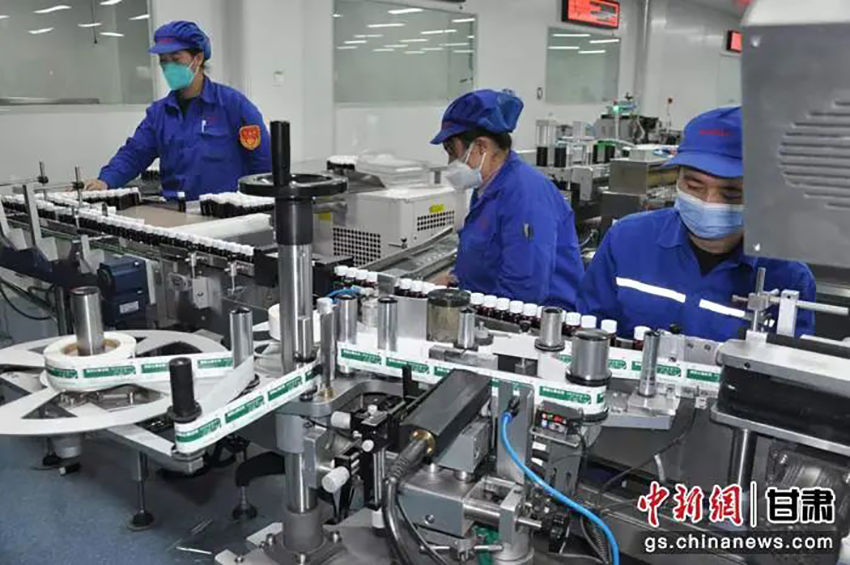 【集團(tuán)要聞】“藥”守護(hù)你！甘肅藥業(yè)集團(tuán)按下“快進(jìn)鍵”開足馬力保供應(yīng)