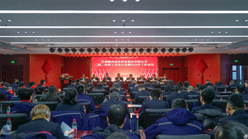 奮戰(zhàn)開門紅｜隴神戎發(fā)：錨定目標(biāo)抓落實，砥礪前行譜新篇，奮力開創(chuàng)高質(zhì)量發(fā)展新局面