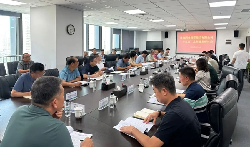 【集團(tuán)要聞】甘肅藥業(yè)集團(tuán)召開“十五五”發(fā)展規(guī)劃研討會(huì)