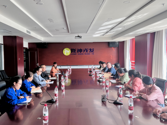 甘肅藥業(yè)投資集團(tuán)工作組一行到隴神戎發(fā)開展研發(fā)費用專項檢查