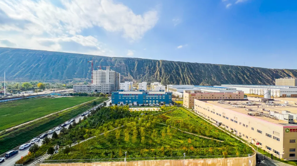 廠區(qū)秋景 ┃ 霜染廠區(qū)色 藥香釀秋深