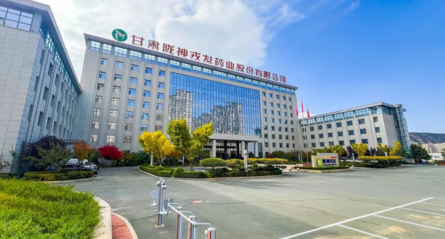 黨建引領 凝聚高質(zhì)量發(fā)展強勁動能——隴神戎發(fā)以“紅色引擎”驅(qū)動企業(yè)行穩(wěn)致遠