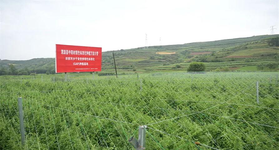 “十四五”答卷 | 甘肅藥業(yè)集團(tuán)——聚力引領(lǐng)帶動 錨定全鏈升級